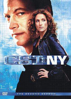 犯罪现场调查：纽约第二季